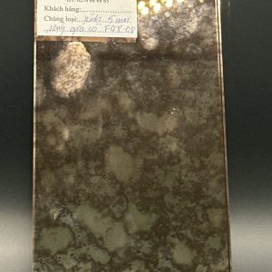 Kính thủy giả cổ FG8