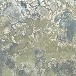 Kính thủy giả cổ GC6