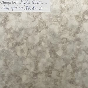 Kính thủy giả cổ jr8