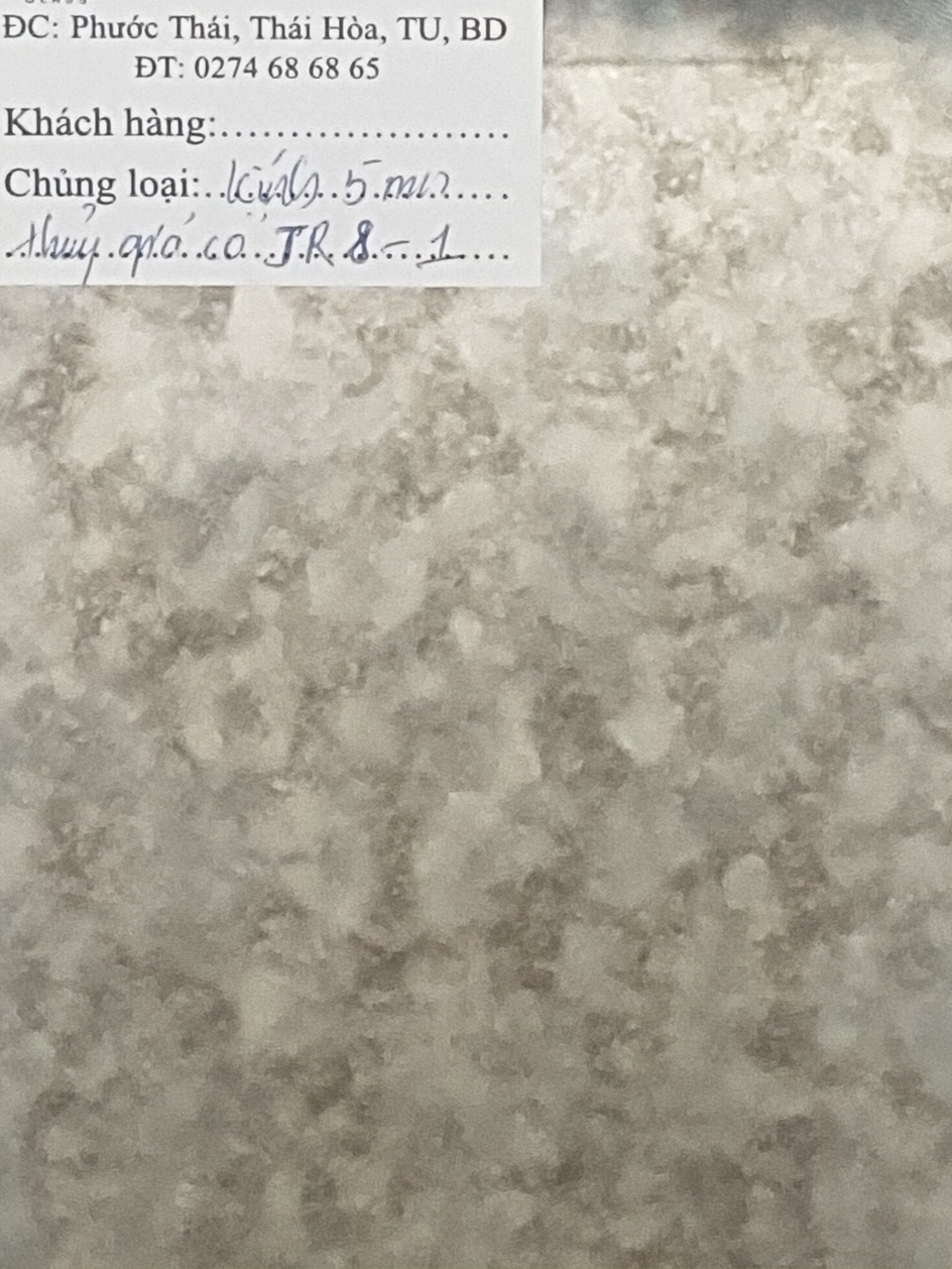 Kính thủy giả cổ jr8