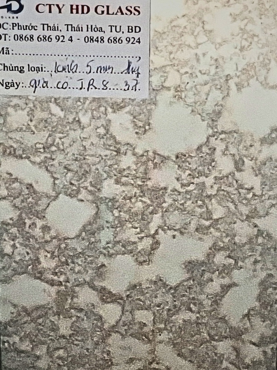 Kính thủy giả cổ jr8