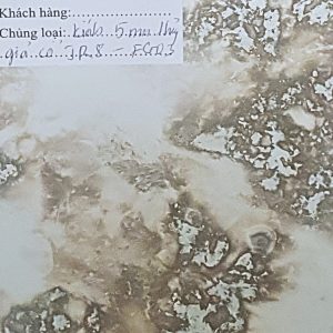 Kính thủy giả cổ jr8