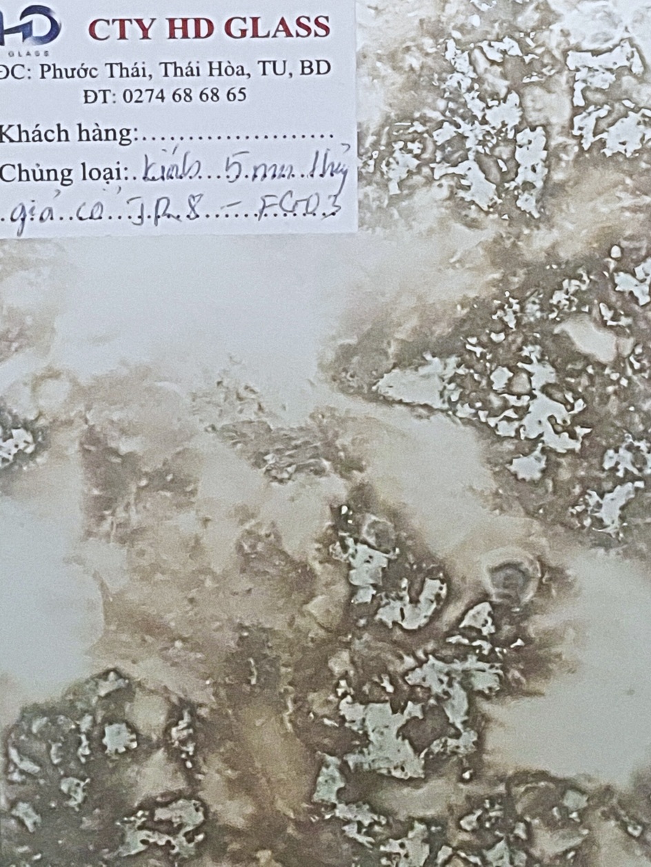 Kính thủy giả cổ jr8